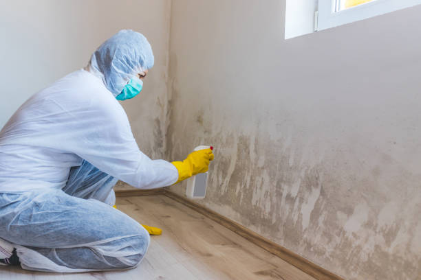 Licensed Attic Mold Remediation service in Simpson, NC - Car Mold Remediation