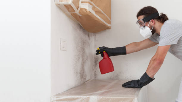 Professional Attic Mold Remediation technician working in Simpson, NC