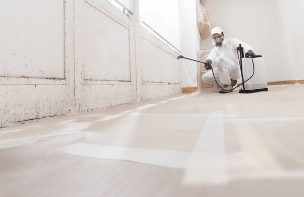 24/7 Emergency Attic Mold Remediation experts in Simpson, NC